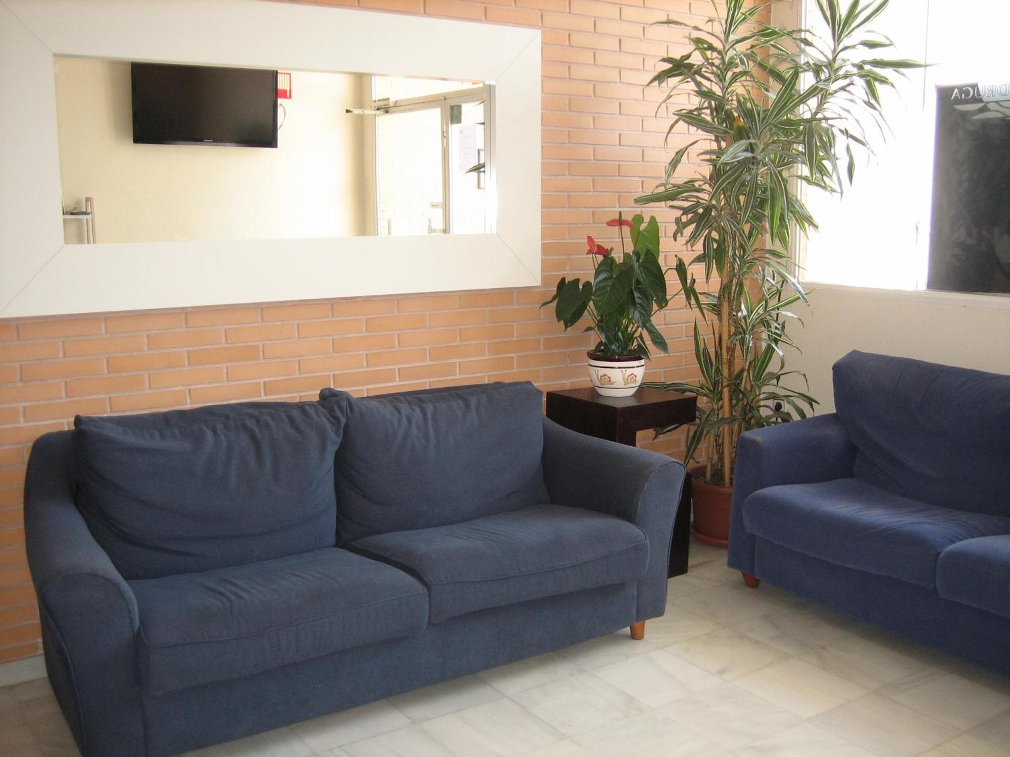 אלצ'ה Hostal Madruga מראה חיצוני תמונה